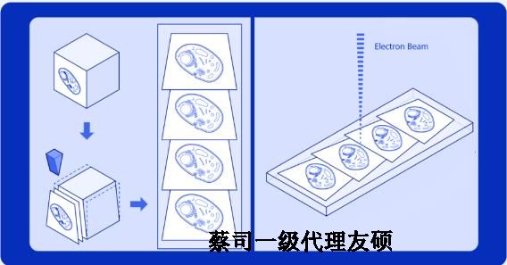 那曲蔡司那曲扫描电镜