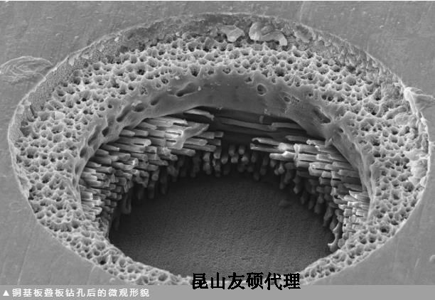 那曲蔡司那曲扫描电镜